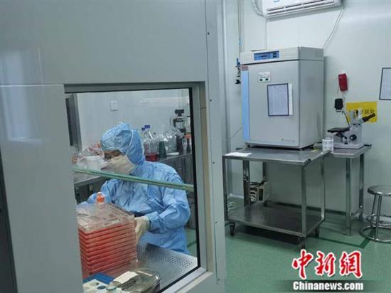 图为北京万泰生物中试车间内，技术人员在工作。 中新网记者 张尼 摄